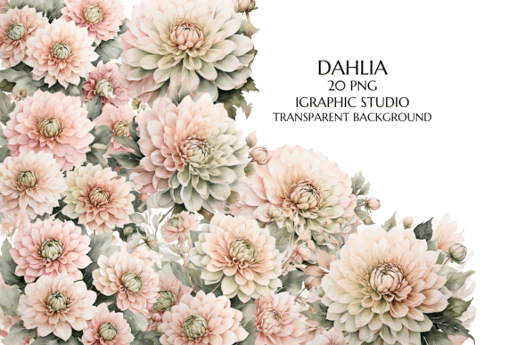 Download Rose Gold and Green Dahlia PNG - Png Collection
