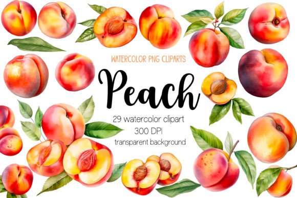 Download Watercolor Peach Clipart Bundle PNG - Png Collection