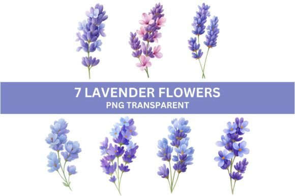 Download 7 Watercolor Lavender Flowers PNG - Png Collection