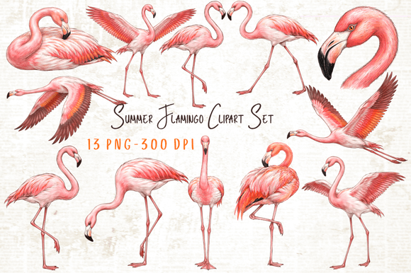 Download Summer Flamingo Clipart Set PNG - Png Collection