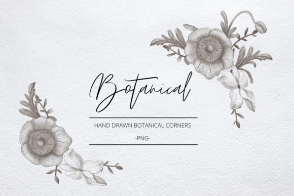 Download Vintage Botanical Corner Frame, PNG - Png Collection