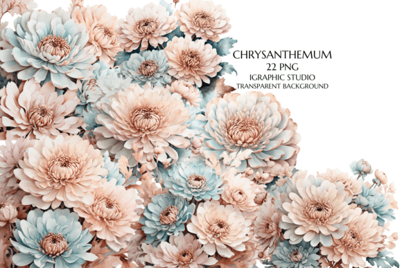 Download Rose Gold and Teal Chrysanthemum PNG - Png Collection
