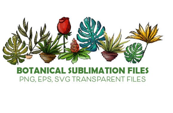 Download Botanical Clip Art Transparent PNG - Png Collection