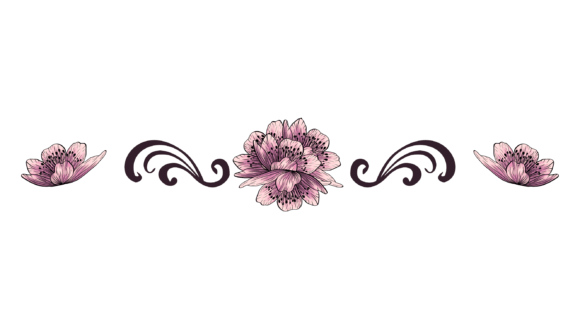 Download Floral Divider Png - Png Collection