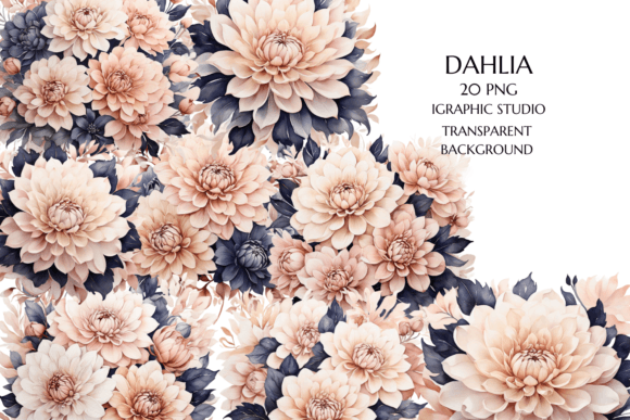 Download Rose Gold and Blue Dahlia PNG - Png Collection